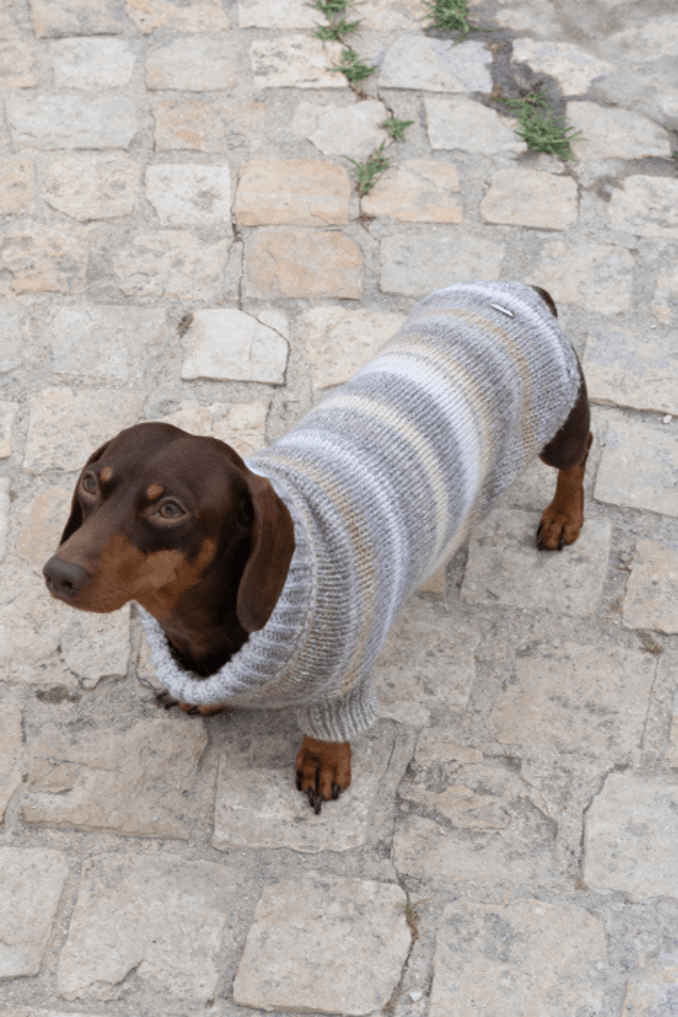 TURTLENECK IN WOOL STRIPED PATTERN