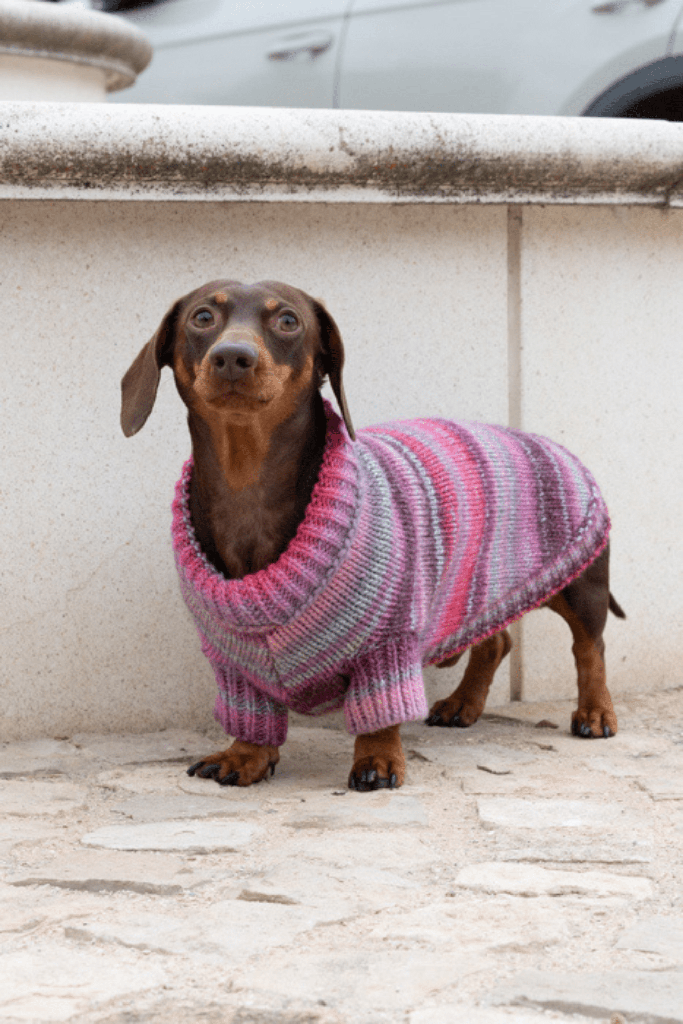 TURTLENECK IN WOOL STRIPED PATTERN