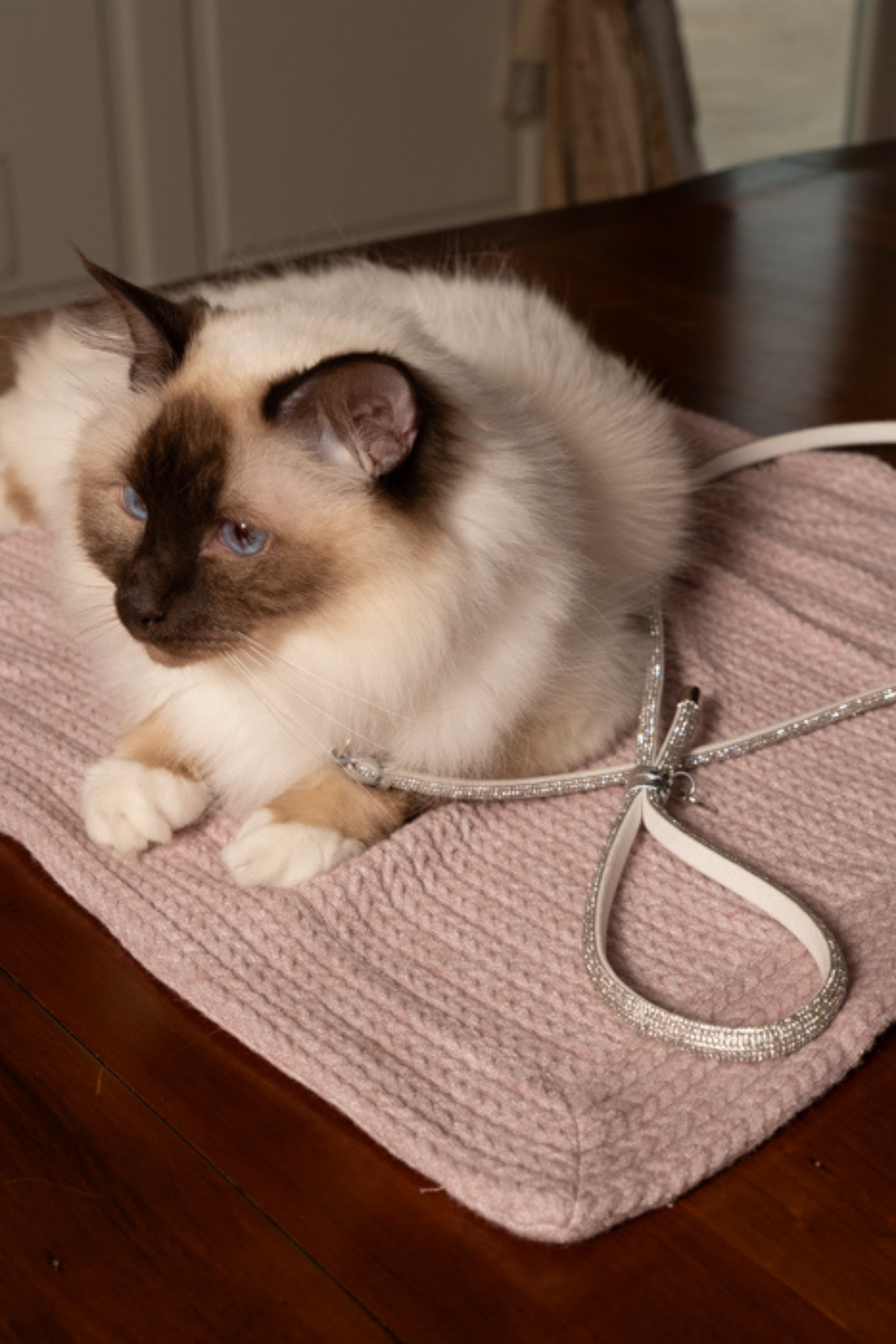 MIGNON RHINESTONE LEASH