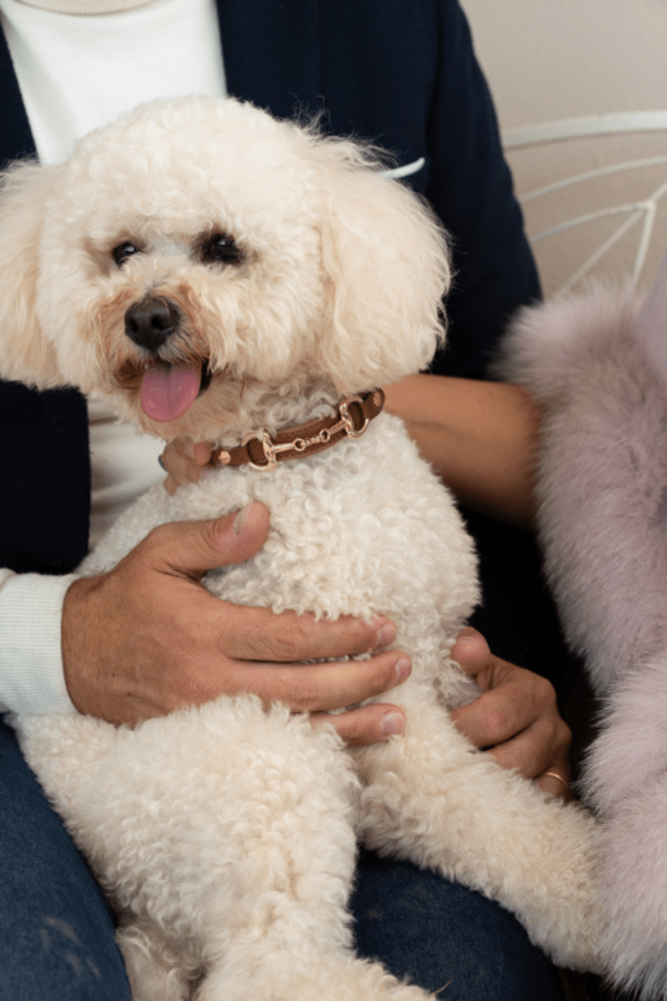 LEATHERETTE COLLAR WITH GOLDEN CLAMP