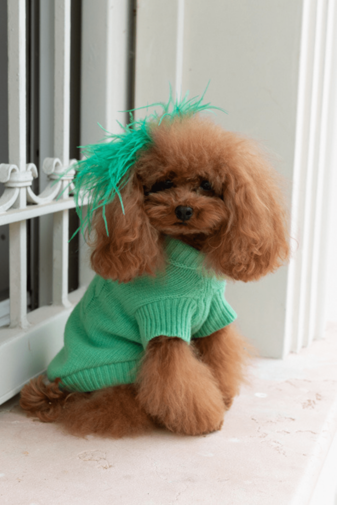 TURTLENECK WITH BRAIDS