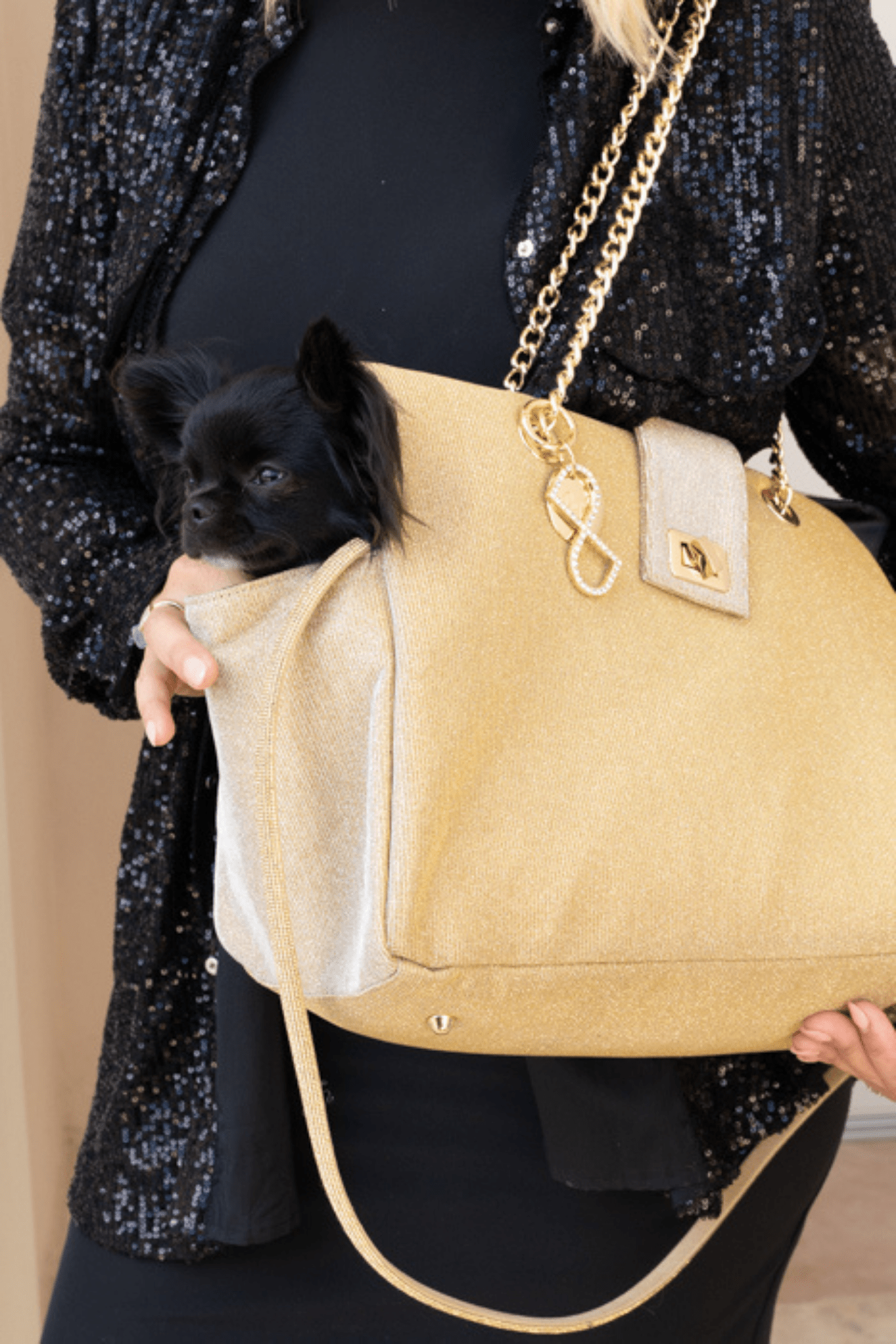 BORSA PER CANI IN LUREX