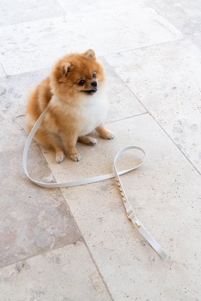 LEATHER MADE LEASH WITH STUDS