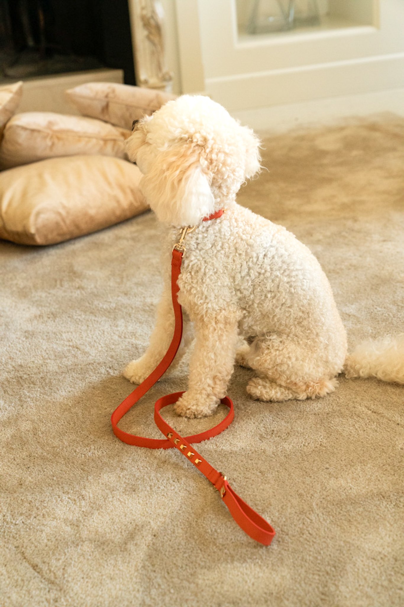 LEATHER MADE LEASH WITH STUDS