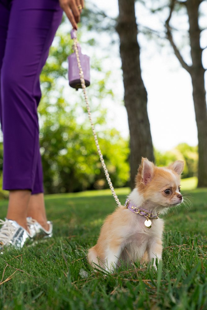 GUINZAGLIO PER CANI E GATTI CON CATENA ORO