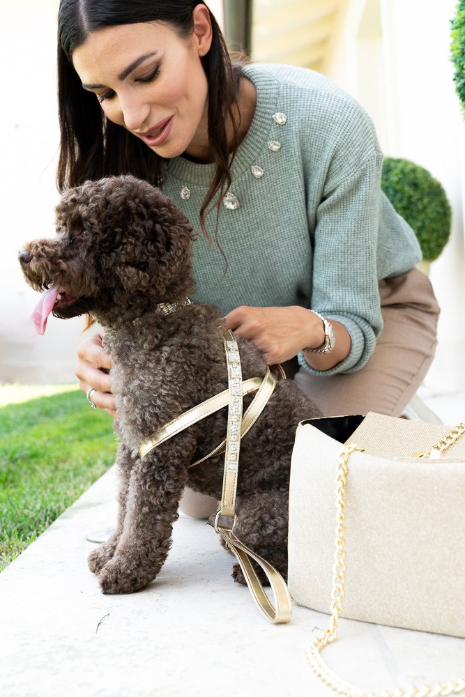 LEATHERETTE LEASH WITH RHINESTONES