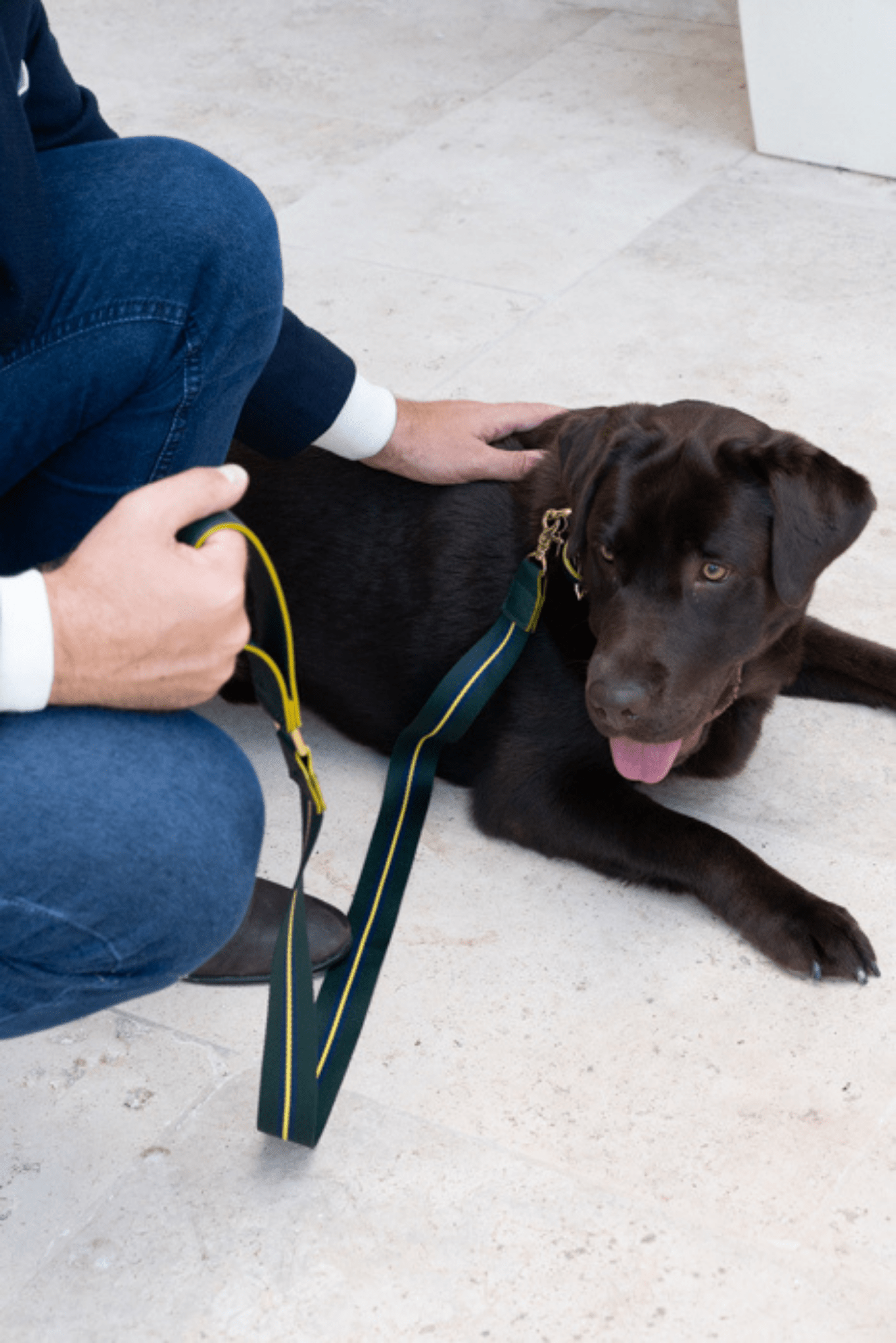 GUINZAGLIO PER CANI IN NASTRO CON COSTA COLORATA