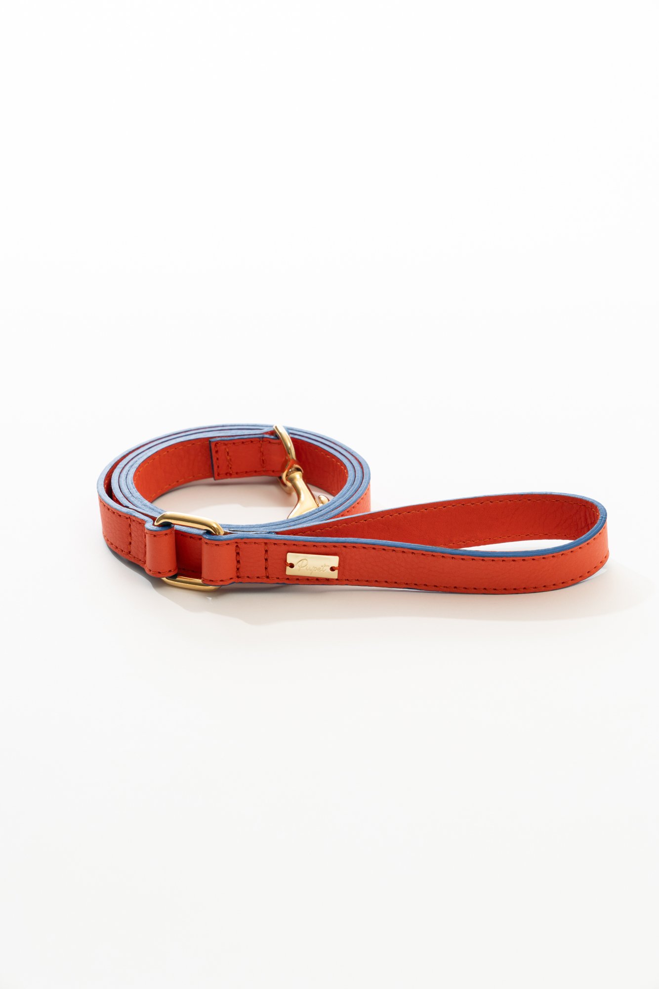 TWO-COLOURED LEATHER MADE LEASH